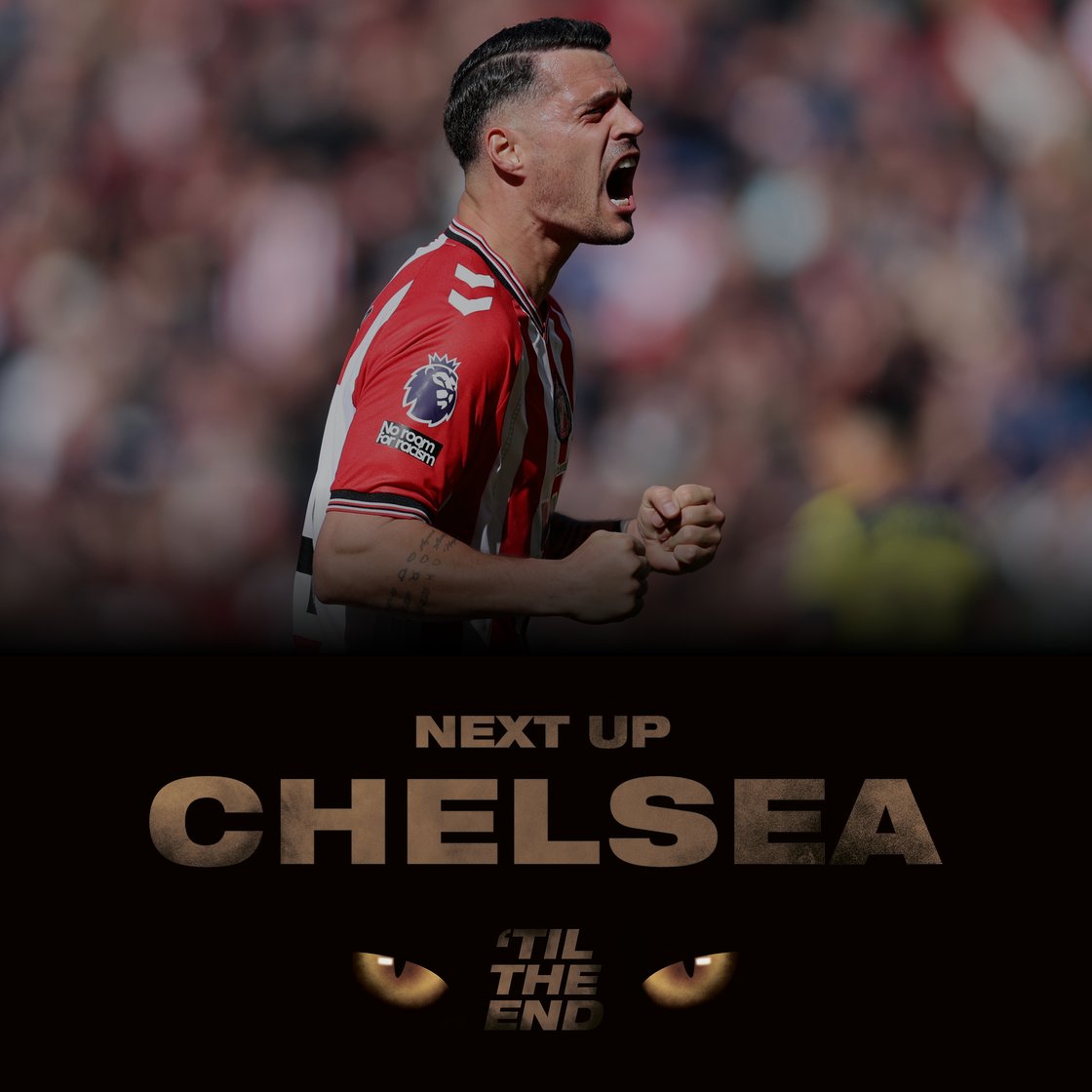 Next Up – Sunderland vs Chelsea